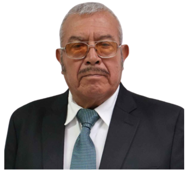 Mtra. Ana Lucia Arce Luna